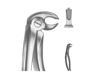 Extracting Forceps English pattern